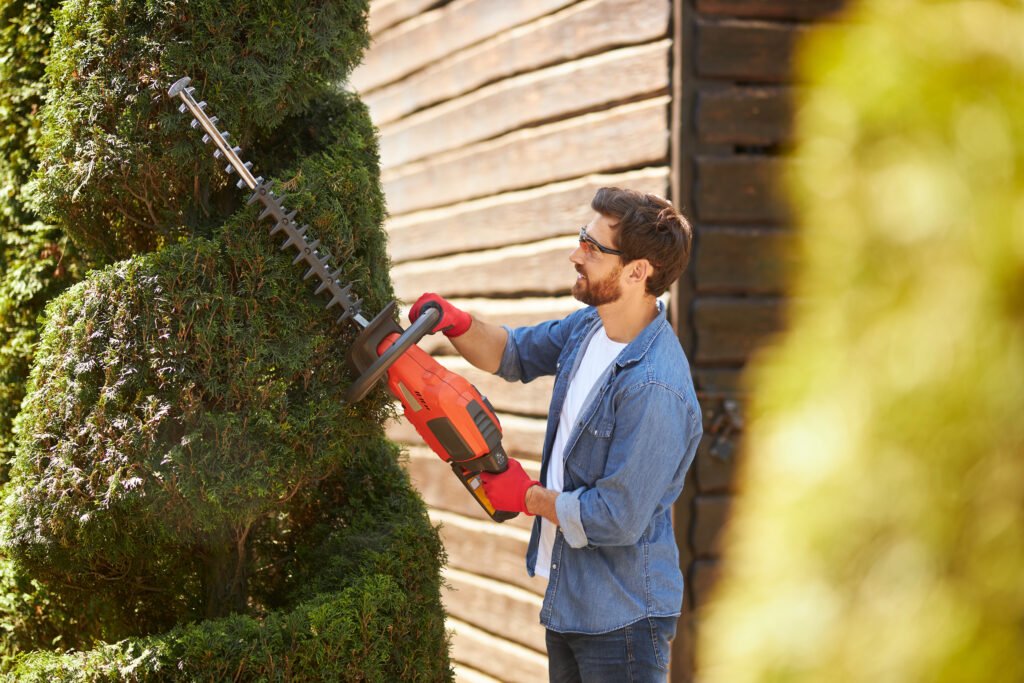 Corded Chainsaw