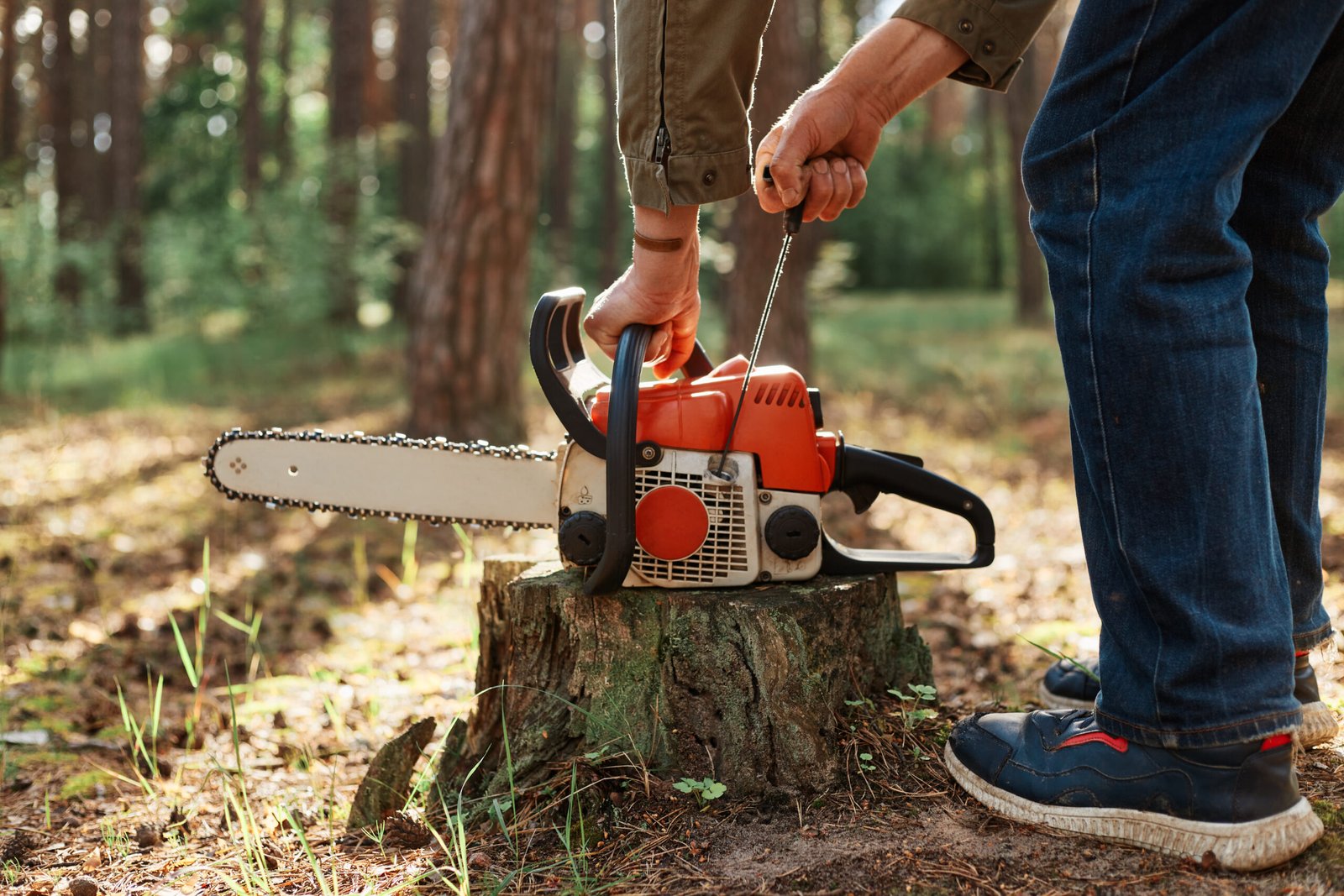 Top 10 Electric Chainsaws for Wood Cutting in 2025