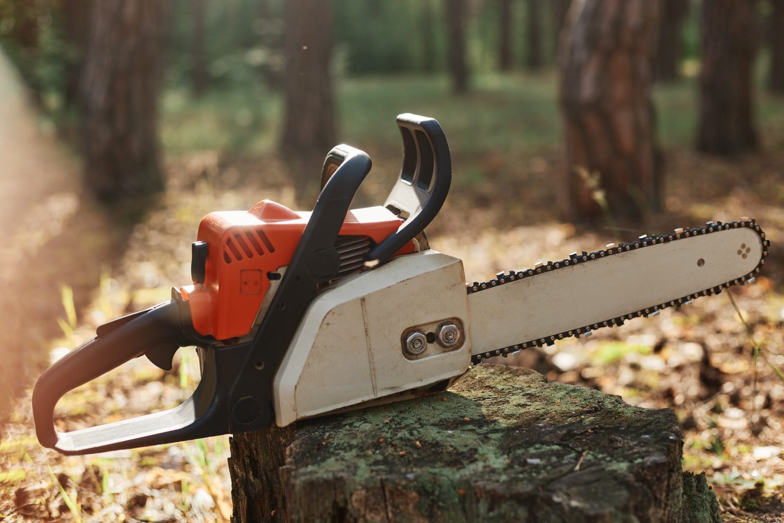 Top 5 Chainsaw Machines for Beginners in 2025